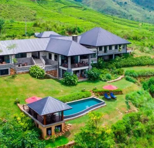 Camellia Hills